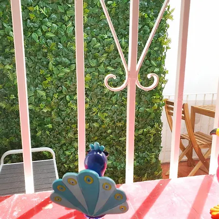 Sunny Centre Flats, 2 Options, With Balcony Or Terrace Malaga