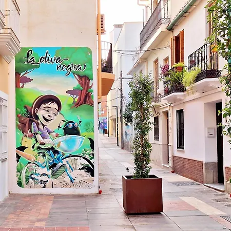 Sunny Centre Flats, 2 Options, With Balcony Or Terrace Malaga