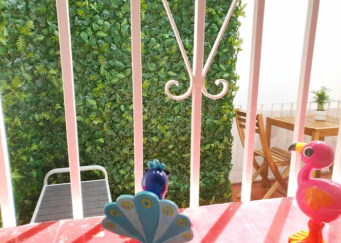 Sunny Centre Flats, 2 Options, With Balcony Or Terrace Malaga